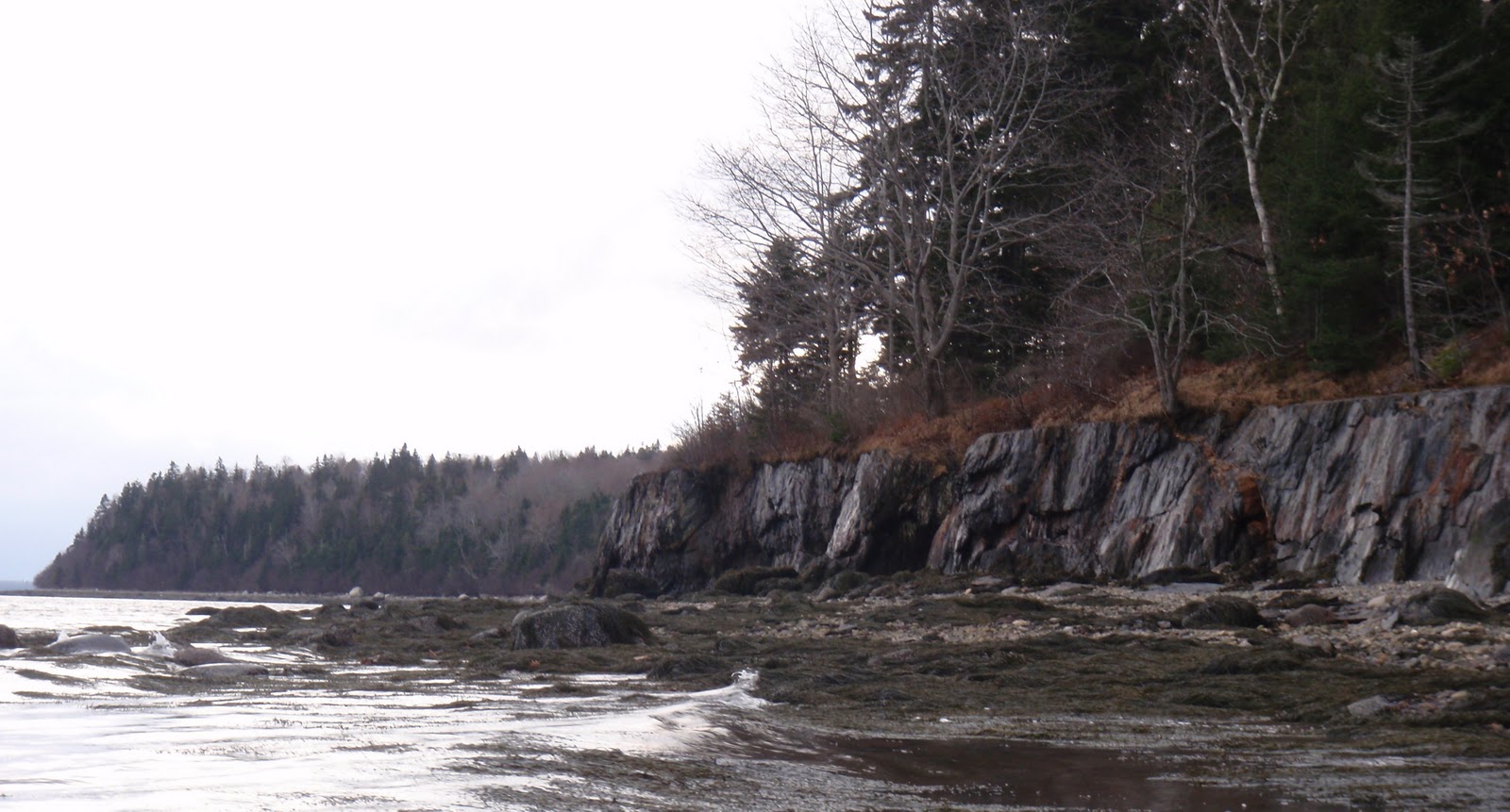 PenobscotPaddles A Window of Opportunity Sears Island Maine