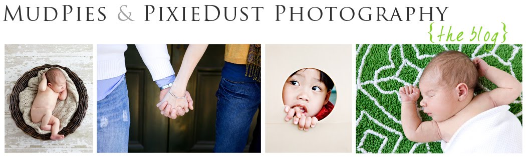 MudPies & PixieDust Photography - Kansas City Newborn, Child, Family & Engagement Portraits