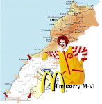 ¡If Mcdonald’s gets in, you should get out! ¡Free Western Sahara!