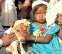 Niña se casa con un perro