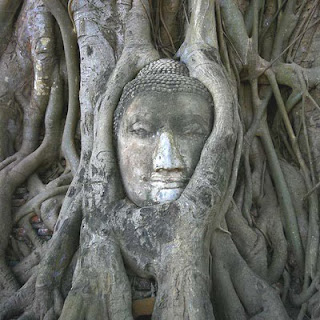 Ayuthhaya Head