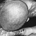 Skin Head Tattoo-Shave your head for better reasons