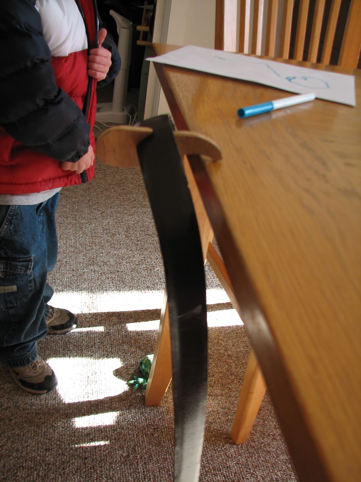 Science Matters How Does That Work? Gravity Defying Belt