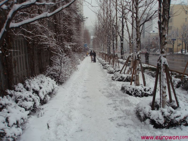 Calle de Seúl cubierta de nieve