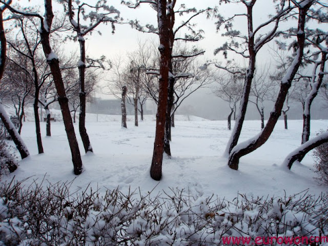 Nieve en una montaña de Seúl