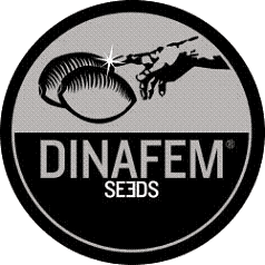 DINAFEM SEEDS