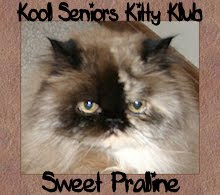 Kool Seniors Kitty Klub