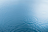 [sb10069374n-001.jpg]
