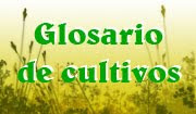 Glosario de cultivos