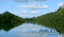 Río Maullin.