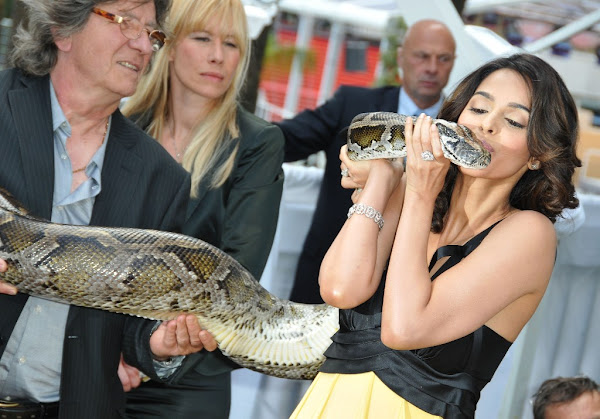 Mallika Sherawat With Snakes Stills Photoshoot images
