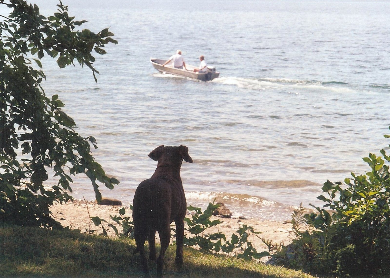 [Molly+in+Maine+cropped.jpg]