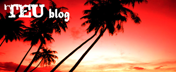 TEUblog