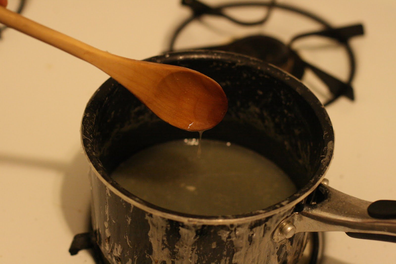 Photograph SLR How to Make Hide Glue