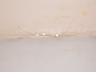 Leaking Bathroom Ceiling 2008