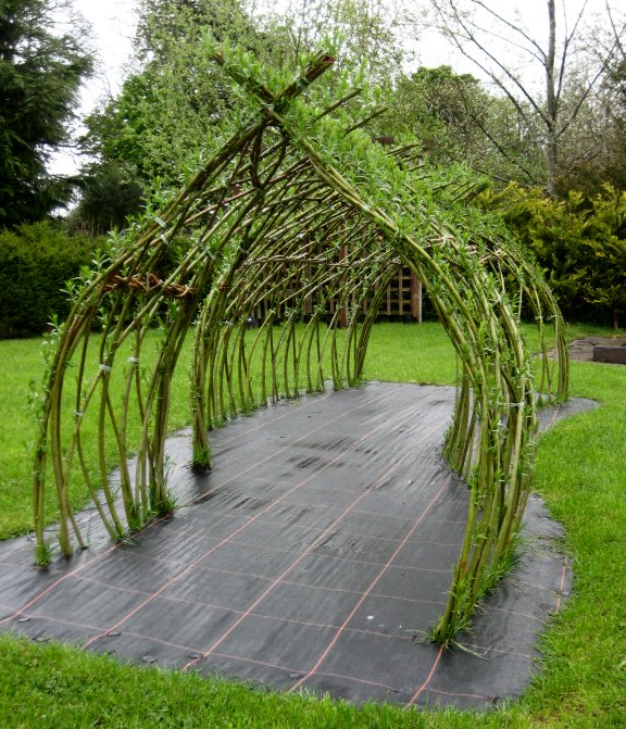 craftsmidwales LIVING WILLOW TUNNEL