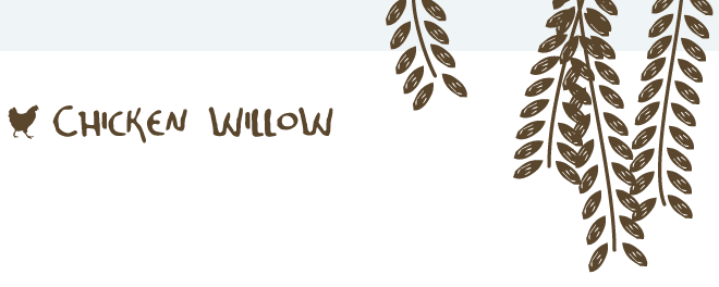 Chicken Willow