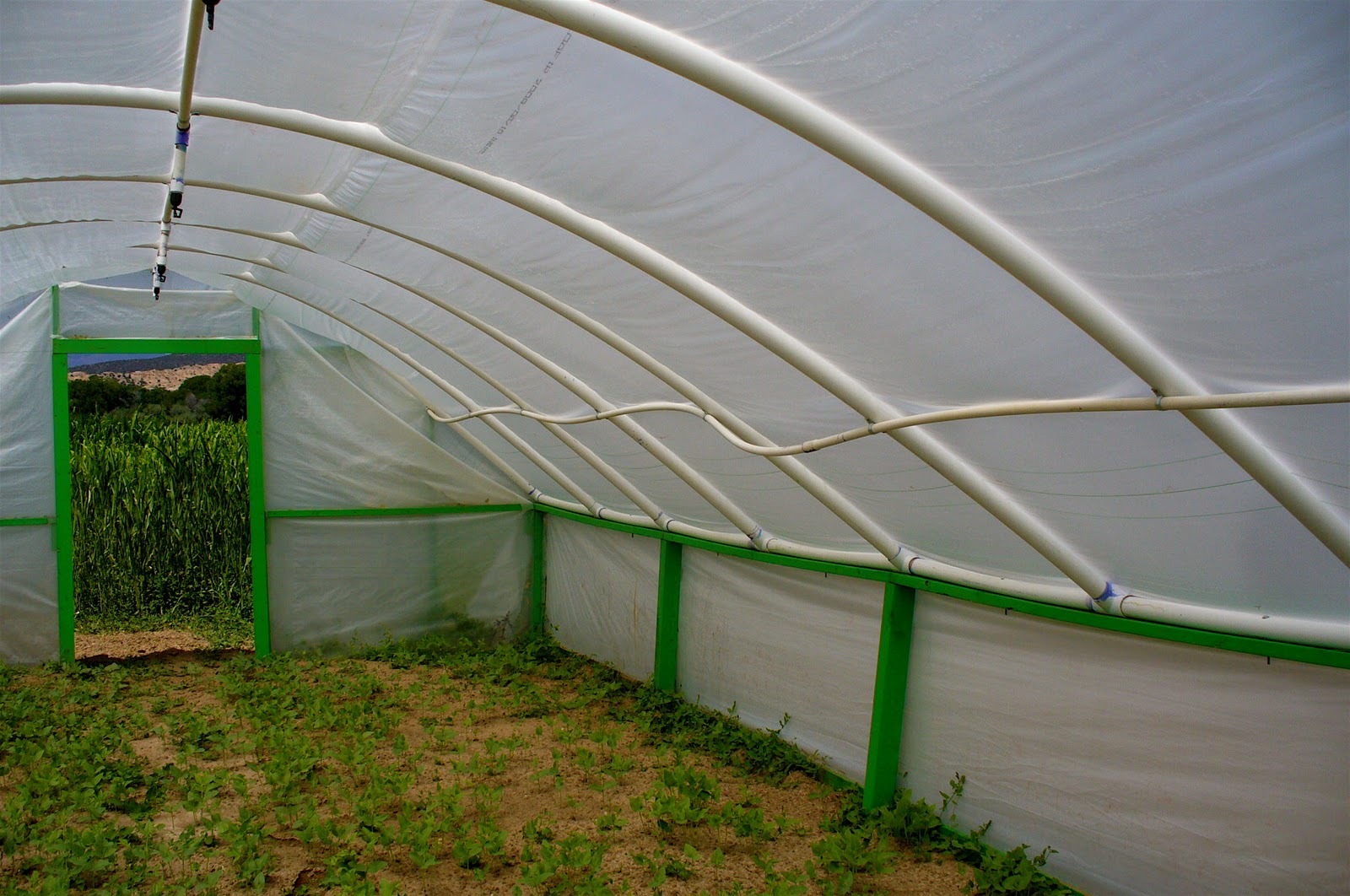 Alt. Build Blog Hoop Houses