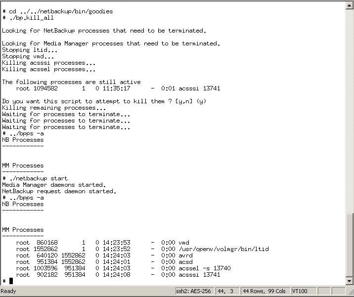 Screenshoot of stopping netbackup service