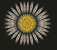 Proyecto de actuación artística personal