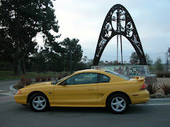 Mustang After