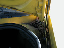 Mustang Before