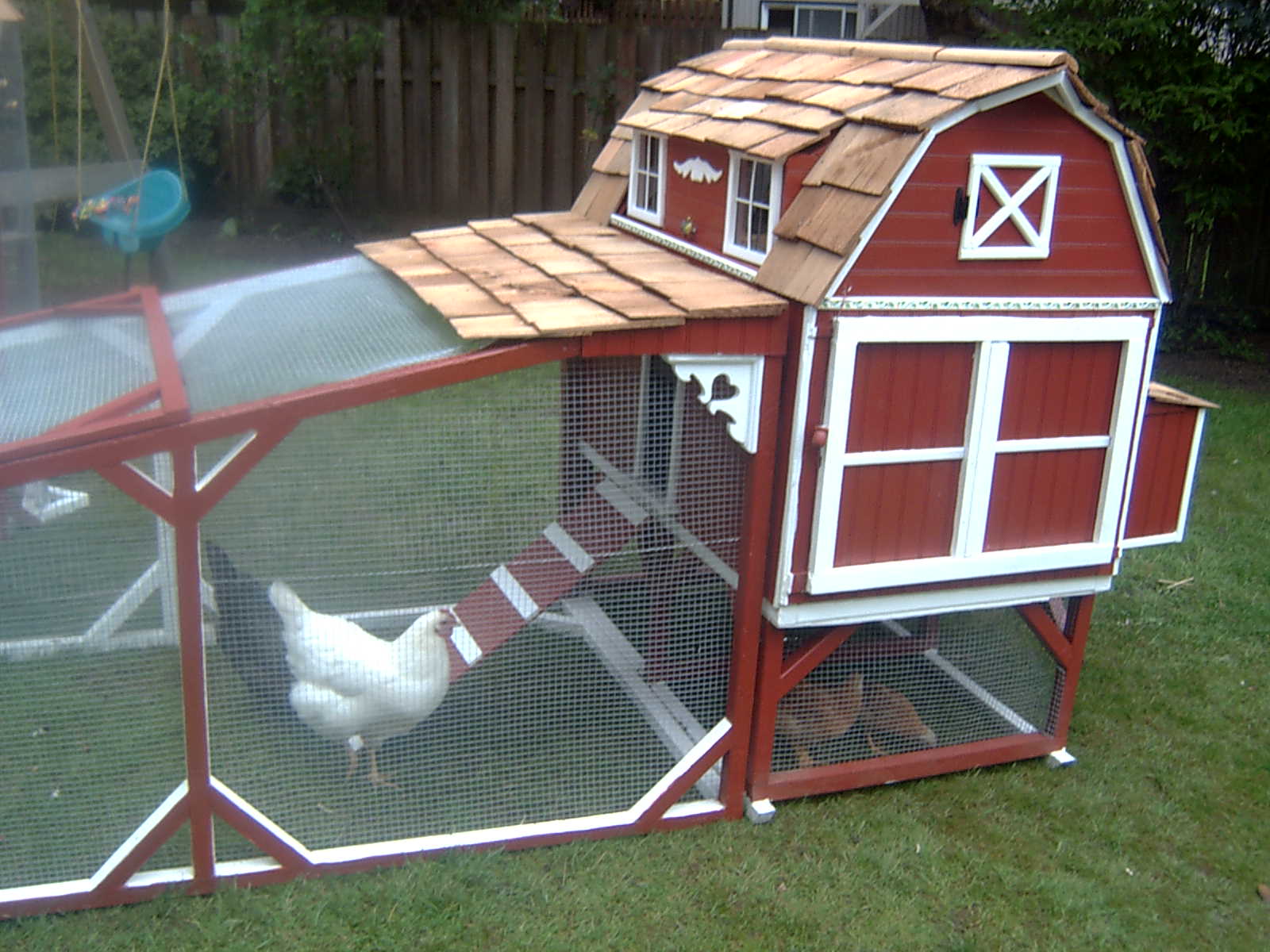 The Beautiful Chicken Farm: What a Beautiful Chicken Coop