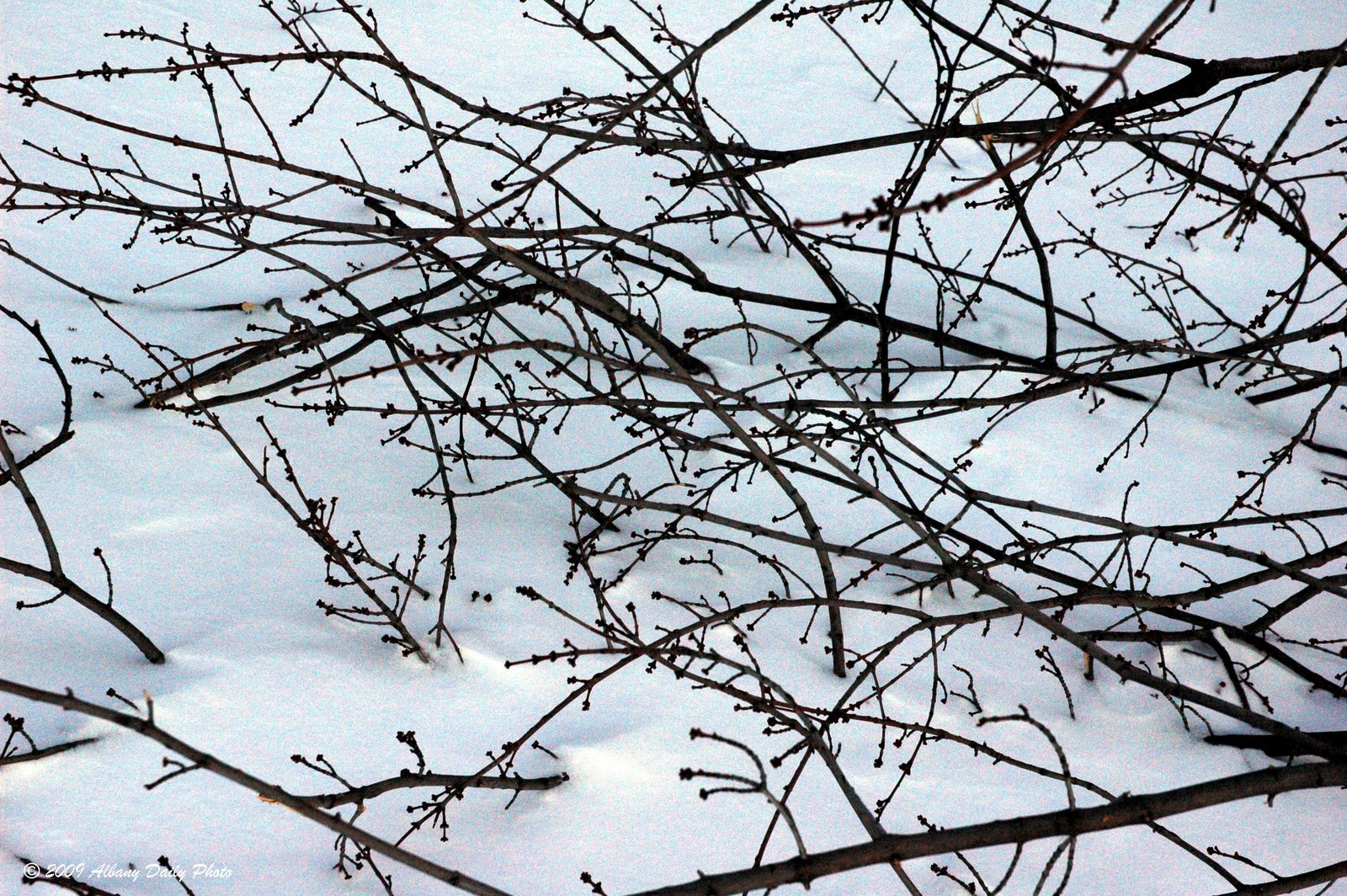 [DSC_3143+copy.jpg]