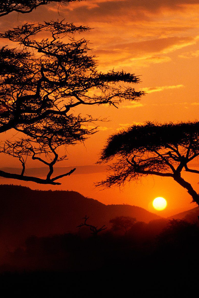 640X960 HD Wallpapers: 58th Set