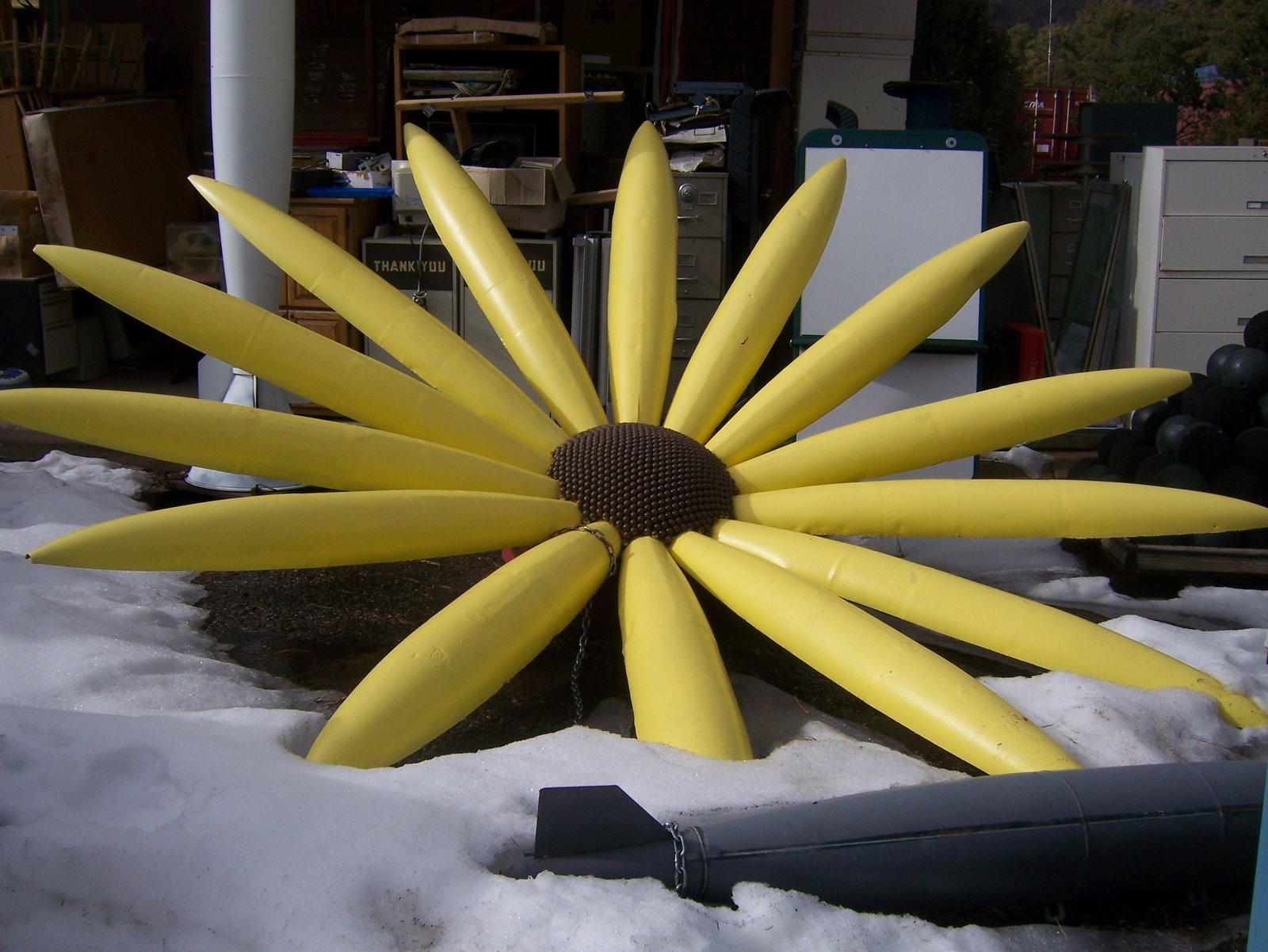 [BH_bombshellflower.JPG]