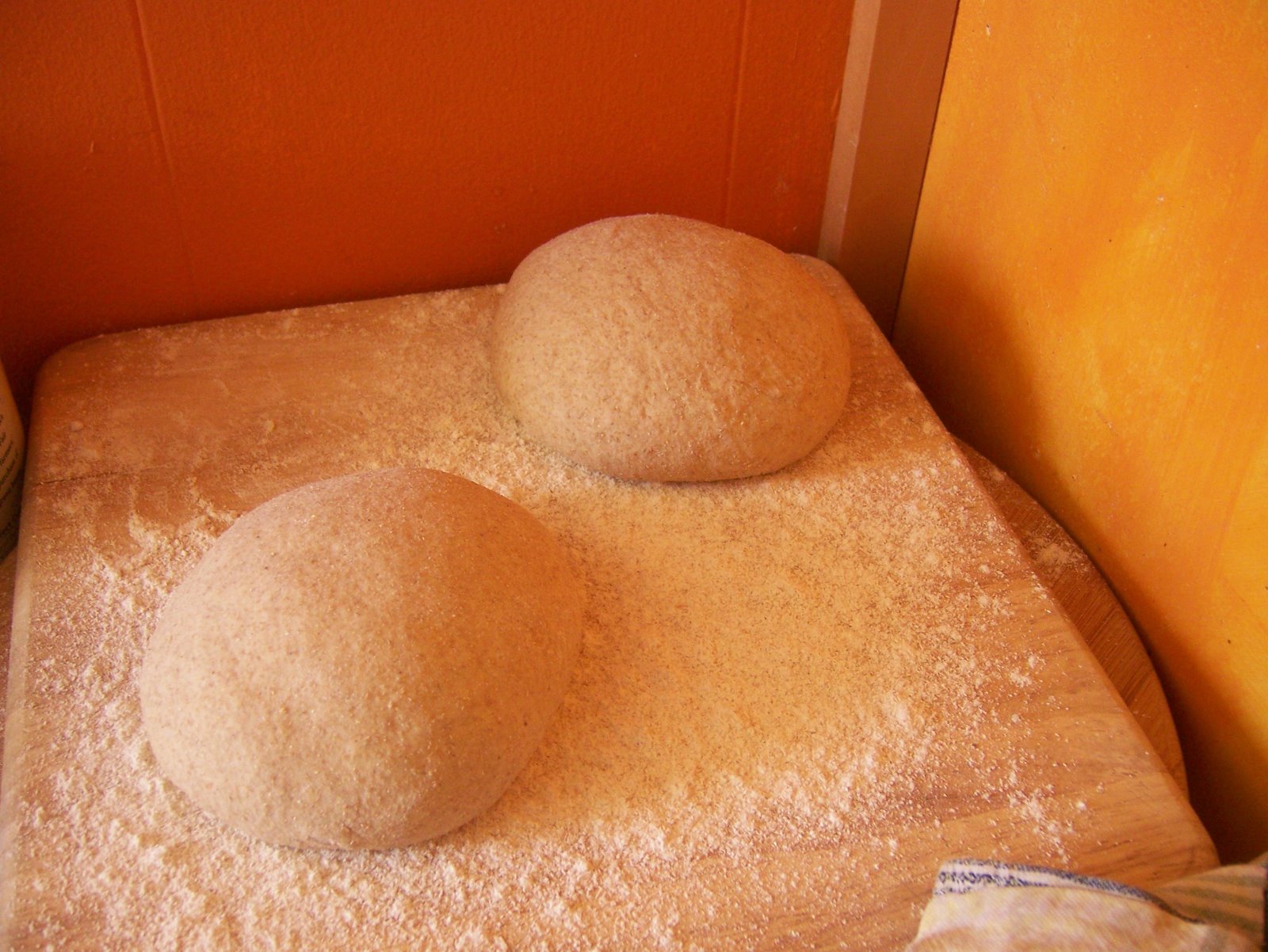 [permabreadloaves.JPG]