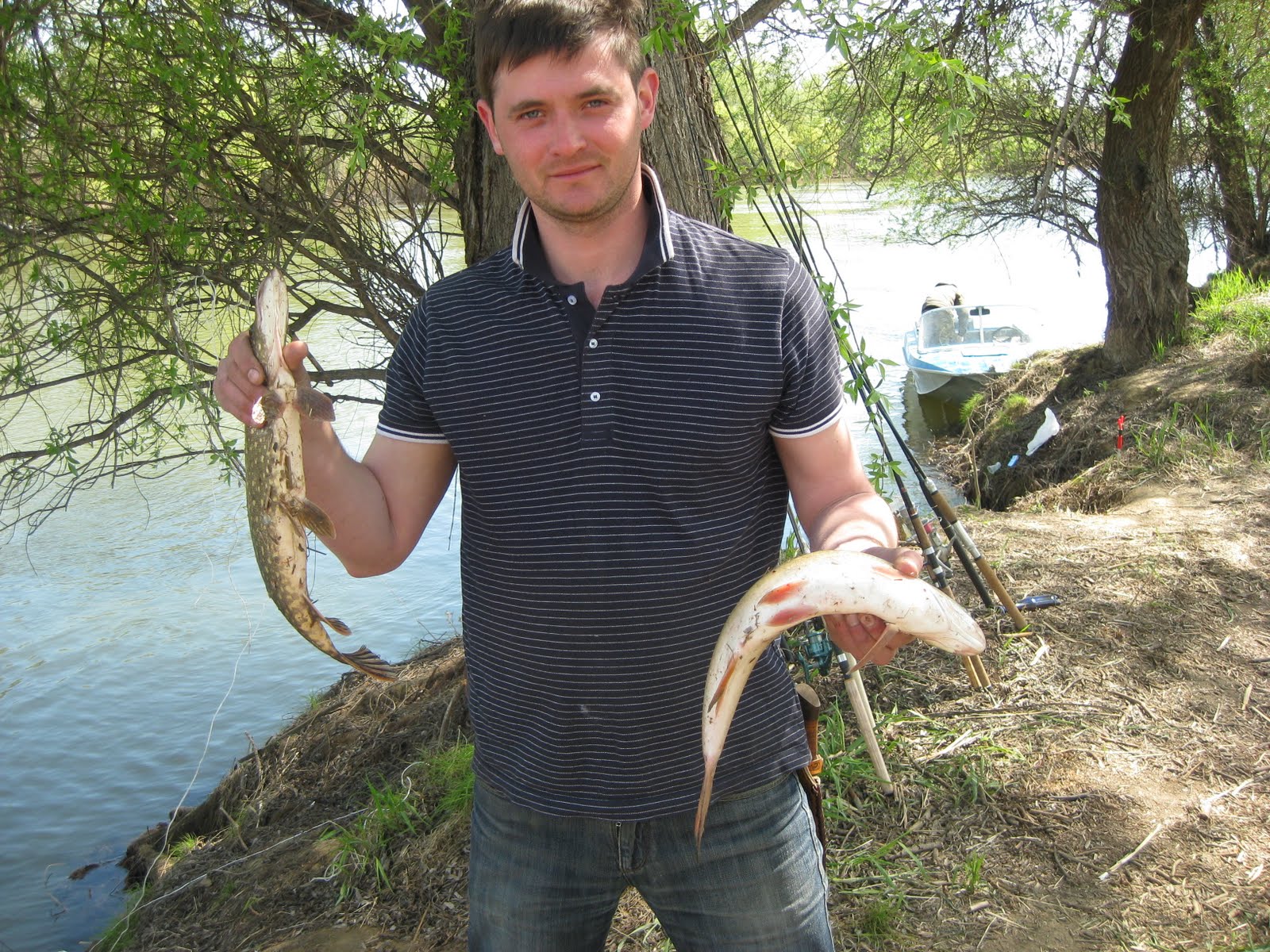 Озеро песчаное алтайский край бурлинский район. Рыбалка на десне. Рыбалка озеро песчаное алтайский край. Песчаный железногорск курская область рыбалка. Озеро песчаное алтайский край бурлинский район.