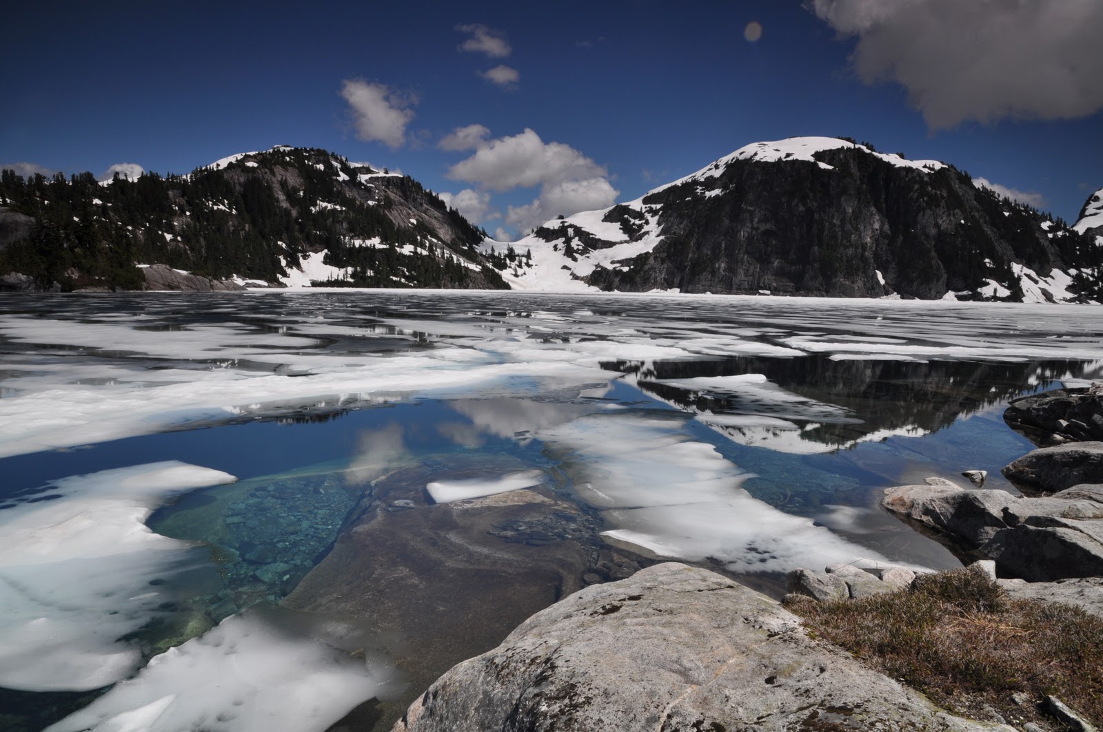 Nature girl's adventures Emma Lake July 18, 2010