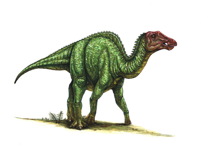 Saurolophus. 