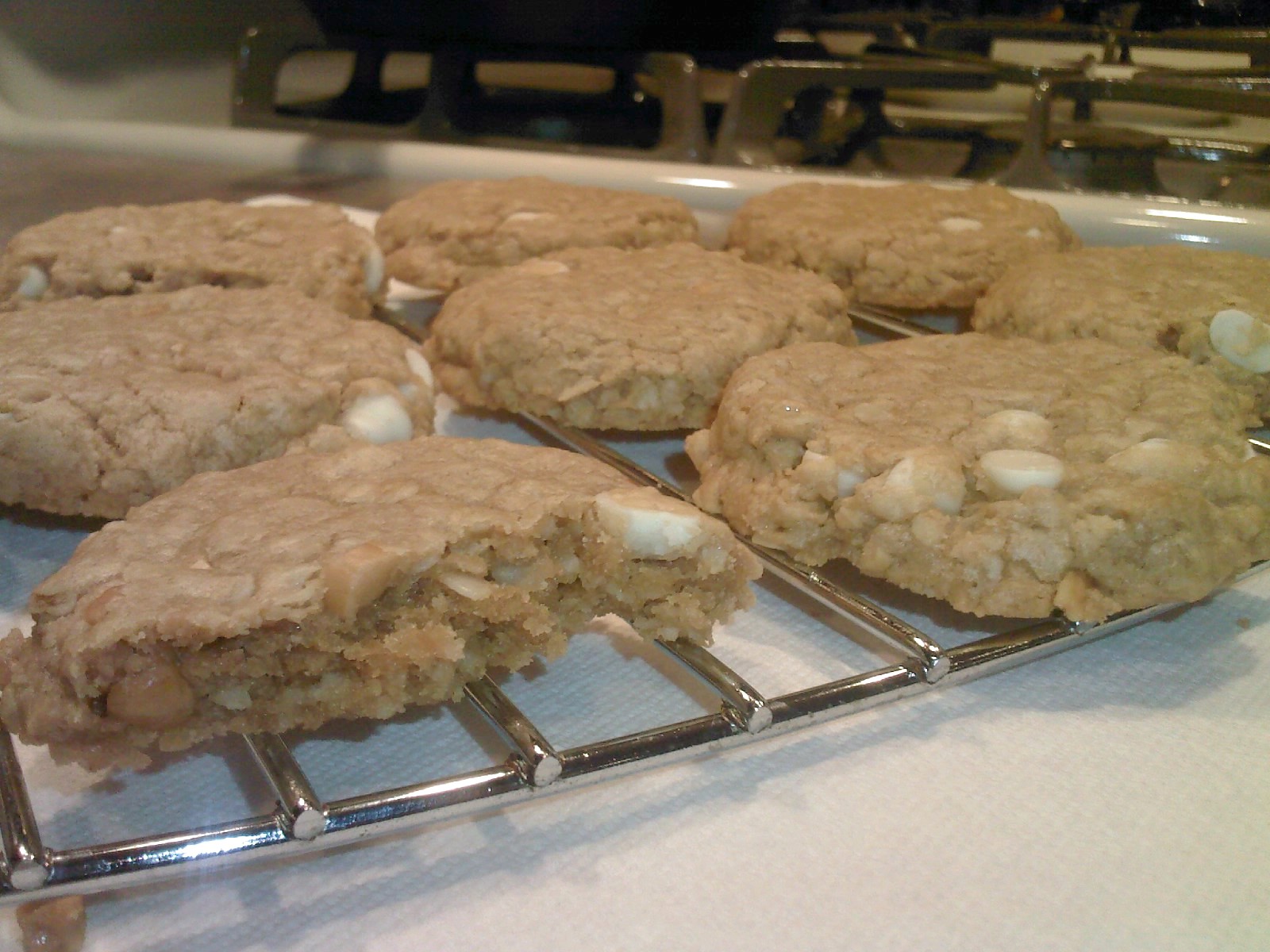 A (soy) Bean Squirrels love Peanut Butter White Chocolate Chip Oat Cookies