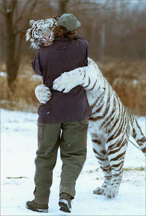 [oldies-09.jpg]