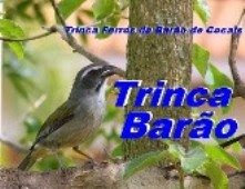 TRINCA BARÃO!!!