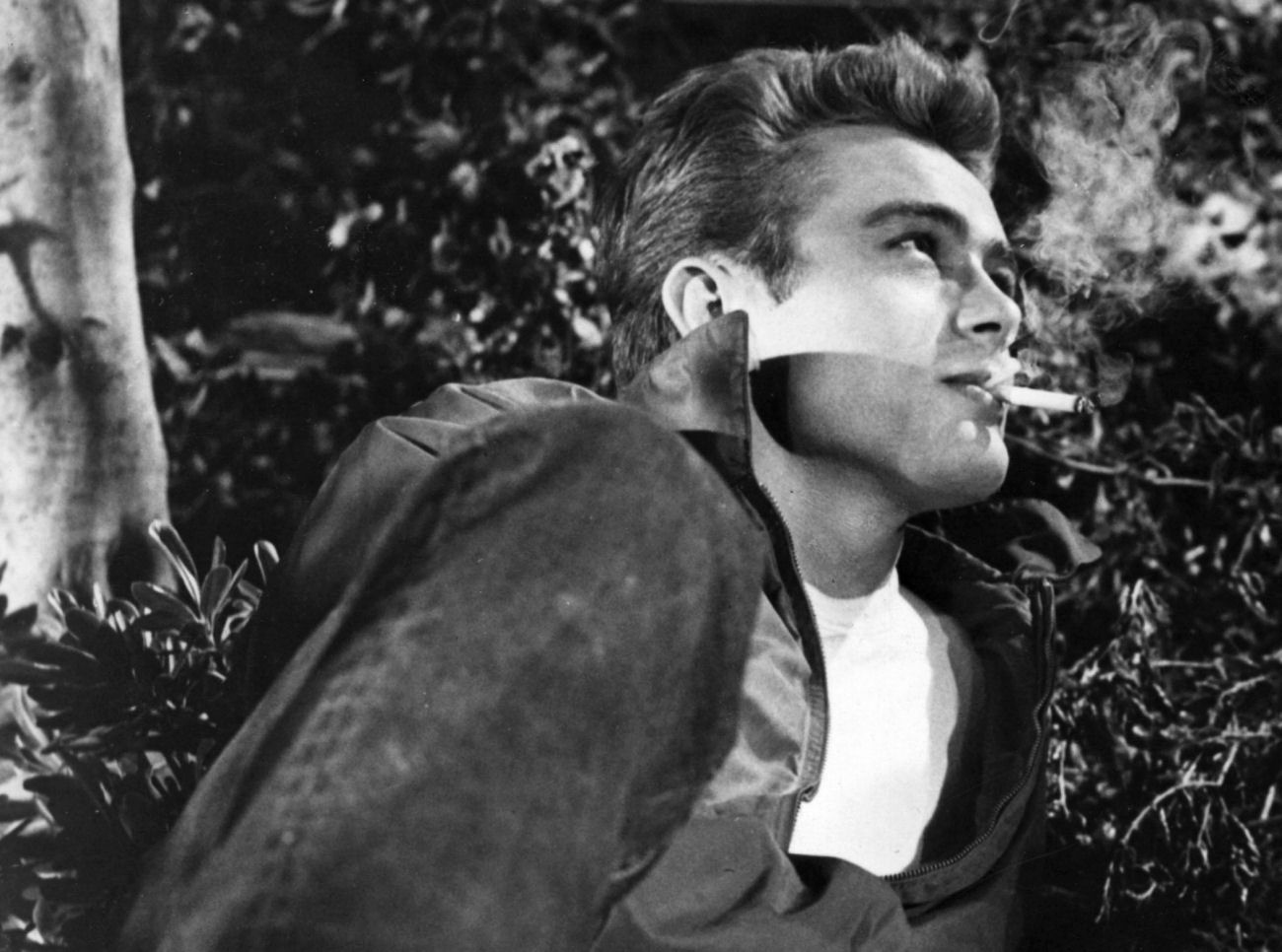 WEIRDLAND: Smoking Hot: Jake Gyllenhaal & co.