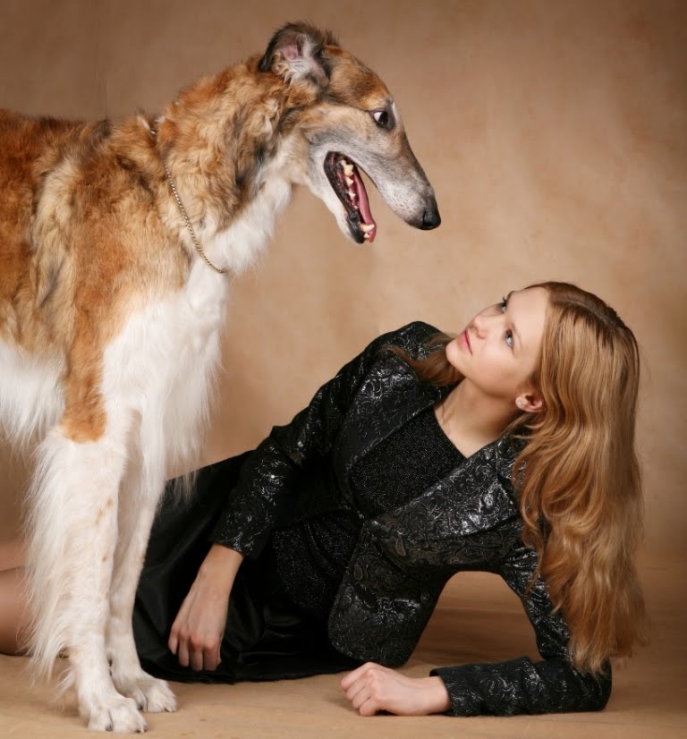 Moskova Notları Köpekler Ruslar’ın ayrılmaz parçası; önceleri av