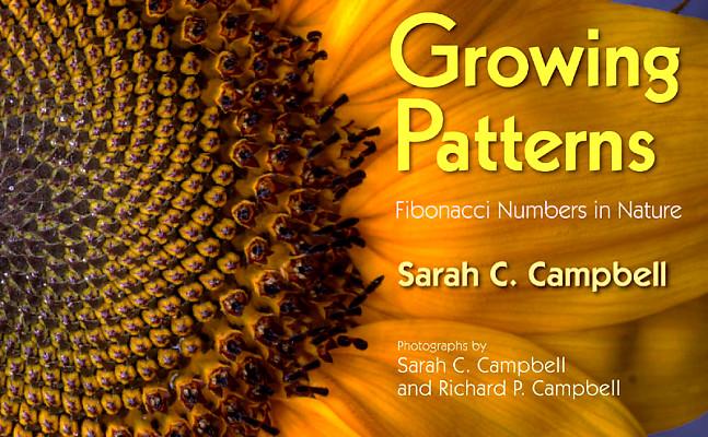 The Fibonacci Twins Sweater Pattern - Knitting Patterns and
