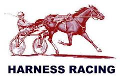 Drawing of Standardbred Trotter, Harness Racing Art