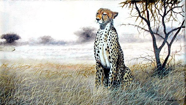 [Ndwiga+-+Proud+Cheetah.jpg]