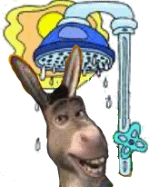 [donk3.gif]
