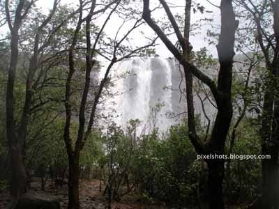 view of athirapally waterfalls from forest,athirapally photos,waterfalls pictures,kerala biggest waterfalls,kerala tourism,thrissur tourist spots