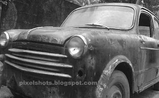 old fiat cars,cars in scratch yard,old indian fiat,old fiat car,kerala old car photos,old cars in cochin,cars rusting in garage,rusting old car,cochin old car photos,black and white photos,black and white car photos,b and w photography,black and white cellphone photography