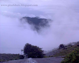 munnar-mist-photos,tourtrip-photos-from-munnar-kerala,dense  fog in munnar kerala hiding mountains behind the mist