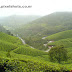 Munnar tourist trip-Photos of neelakurinjys, dense mist in mountains,Munnar tea plantations,sceneries from mountains,violet flowers-cellphone and DCM