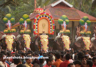 elephants-thrissur,kerala-festivals,elephant-festival,hindu-temple-festivals,kerala-elephants,pooram-elephants,elephant-ornaments,kerala-domestic-elephants,thrissur-temple-festivals,thrisur-poorams,kerala-cultural-festivals