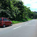 Thenmala Road-trip Photos,Western Gaht Tropical Forests seen aside NH 208, roadstrip linking Kerala & Tamilnadu