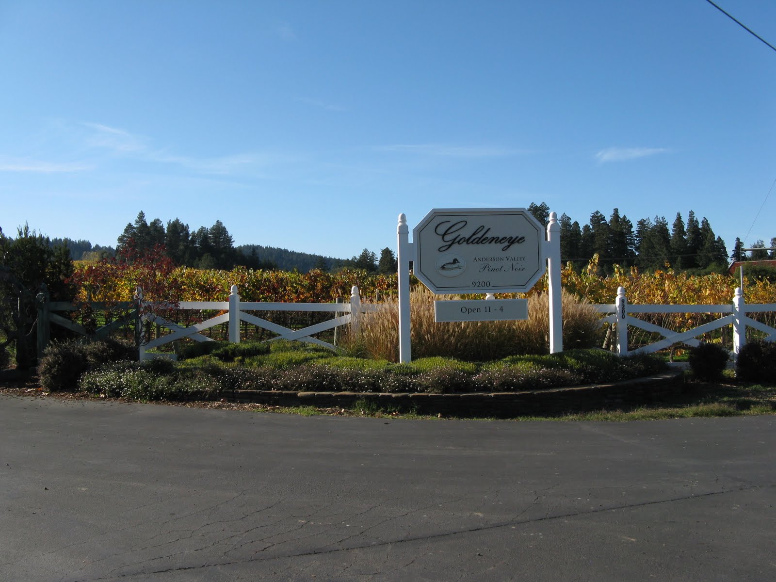 Tarra's Travels Ft. BraggAnderson Valley Wineries
